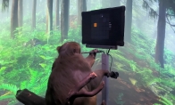 马斯克公布脑机接口视频 猴子能用“意念”打游戏