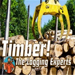 伐木工木材专家