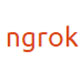 Ngrok（内网穿透软件）