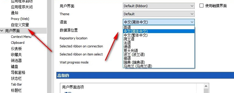 remote desktop中文设置图片
