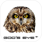 Gods Eye +