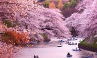 5月起 日本旅游签证可在网上申请